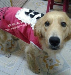 【寵物用品服裝批發 】 熱門  中大型犬晚禮服 金毛MM標配 秋冬裝工廠,批發,進口,代購