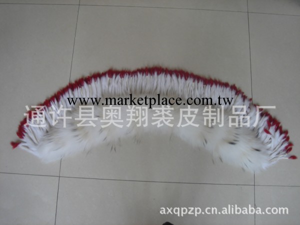 廠傢大量批發直銷優質休閒款裘皮 女式皮草工廠,批發,進口,代購