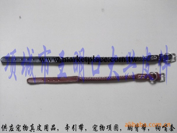 寵物用品批發 高檔編織項圈 貴族犬專用 真皮項圈工廠,批發,進口,代購