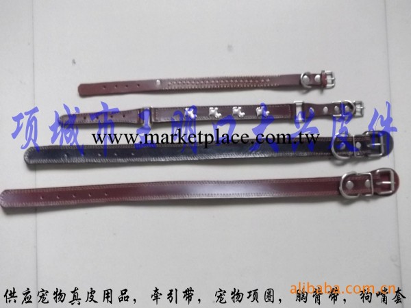 寵物用品直銷 真皮項圈 牽引帶 時尚真皮寵物項圈工廠,批發,進口,代購