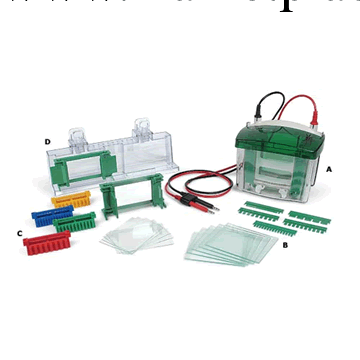 Bio-Rad伯樂 基礎電源 1645050工廠,批發,進口,代購