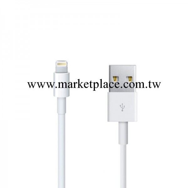 廠傢直銷 iphone5數據線 蘋果5數據線 數據線批發 經濟版 數據線工廠,批發,進口,代購