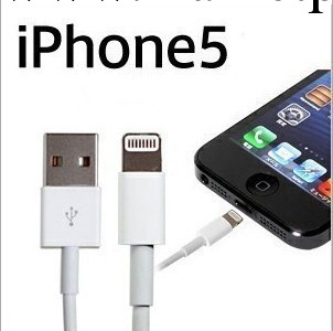 供應原裝蘋果5數據線,iphone5 Lightning數據線,蘋果原裝數據線批發・進口・工廠・代買・代購