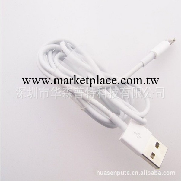 最新iphone5充電數據線 蘋果5充電數據線 手機數據線 廠傢直銷工廠,批發,進口,代購