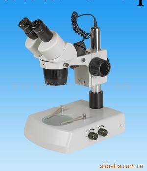 特許經銷商 供應ST-6024顯微鏡工廠,批發,進口,代購