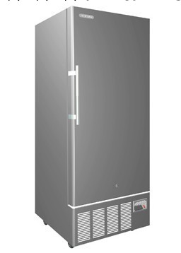 青島澳柯瑪-25℃低溫保存箱  DW-25L276工廠,批發,進口,代購