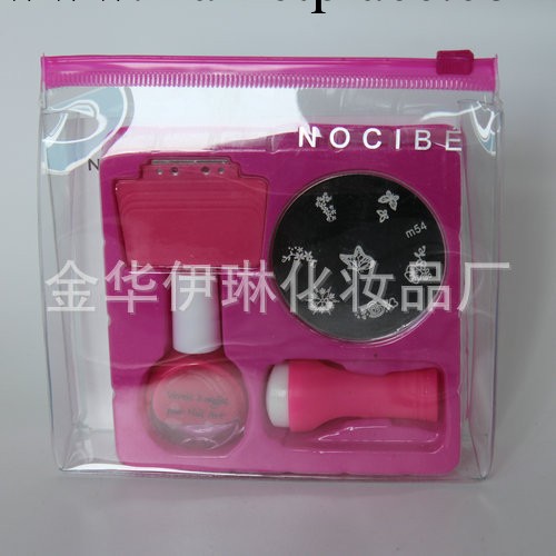 供應美甲印章套裝 印章套裝 套裝批發 甲油套裝 美甲DIY套裝 正品工廠,批發,進口,代購