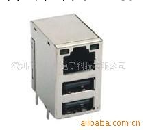 電腦連接器 RJ45+雙層USB工廠,批發,進口,代購