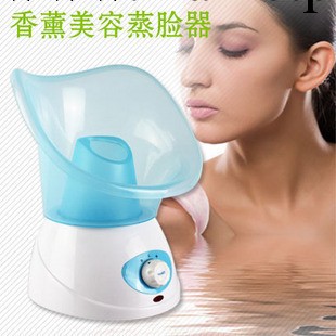 香薰美容蒸臉器 蒸汽美容機噴霧機面部香熏桑拿器 蒸臉機016工廠,批發,進口,代購