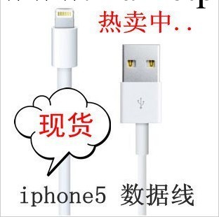 工廠直銷最新IPhone5數據線,充電線,蘋果5充電數據線/手機數據線工廠,批發,進口,代購