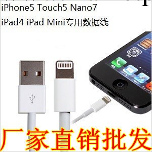 蘋果5代數據線iPhone5數據線 五代充電線ipad mini 配件 現貨批發工廠,批發,進口,代購
