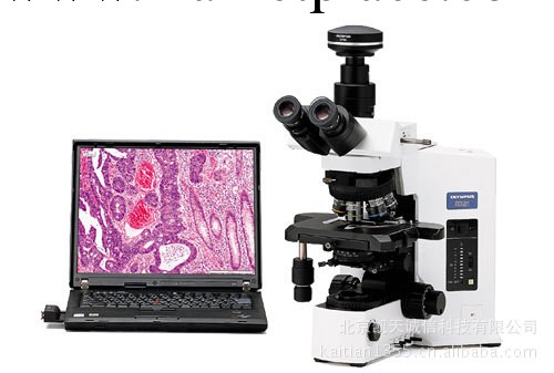 供應BX51金相顯微鏡工廠,批發,進口,代購