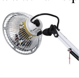 國仁特定電磁波治療機L-I-9A立式大頭 TDP神燈 數字調溫 可升降工廠,批發,進口,代購