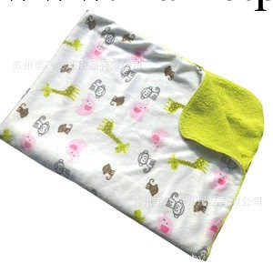 嬰兒冬季毛毯/外貿嬰兒童毯/毛毯嬰兒毯 Carter's童毯 雙層加厚工廠,批發,進口,代購