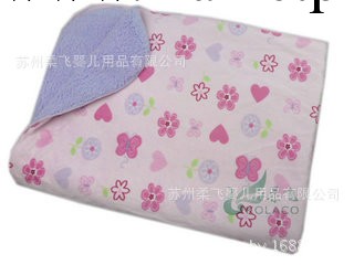 嬰兒冬季毛毯/外貿嬰兒童毯/毛毯嬰兒毯 Carter's童毯 雙層加厚工廠,批發,進口,代購