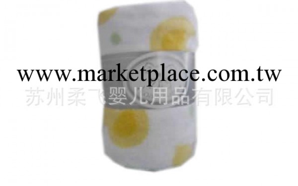 廠傢直銷 珊瑚絨毯子 珊瑚絨毛毯 珊瑚絨毯 珊瑚絨印花毯子工廠,批發,進口,代購