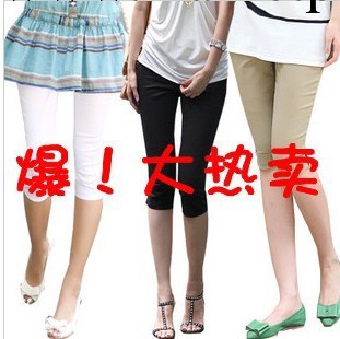 女式糖果女褲 韓版新款夏裝女裝 小腳鉛筆褲 七分褲 內搭褲工廠,批發,進口,代購