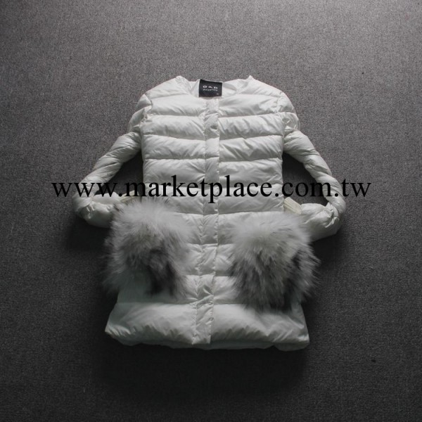 珈衣佳~歐洲站新品 中長款歐美風原單修身女式羽絨衣B005工廠,批發,進口,代購