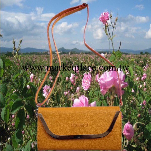 女士精品小挎包 女士手提包 女士手拿包 廠傢直銷工廠,批發,進口,代購