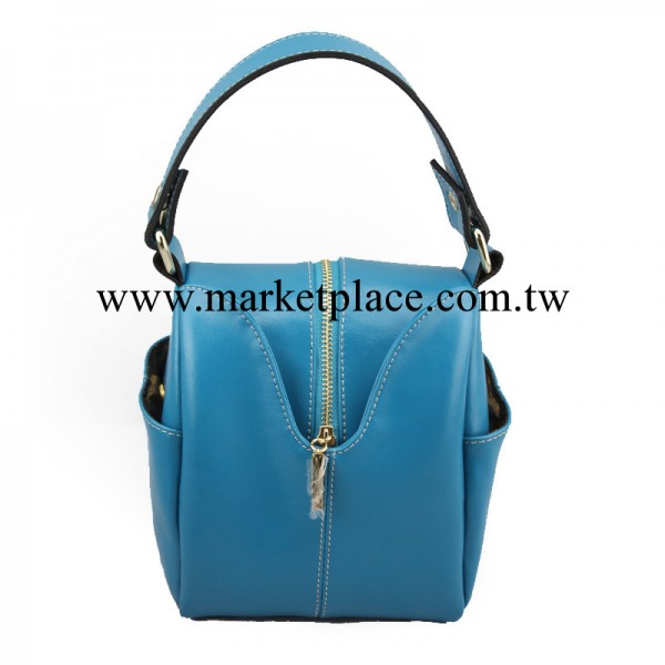 歐美流行時尚真皮包 潮流新款休閒女包 手提斜跨單肩多用包工廠,批發,進口,代購