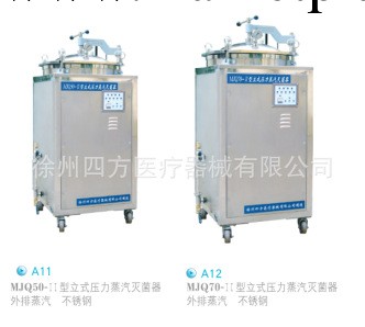 供應優質立式壓力蒸汽滅菌器工廠,批發,進口,代購