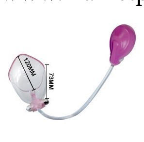 BI-014096-1百樂成人用品 大內密探2 女用震動工廠,批發,進口,代購