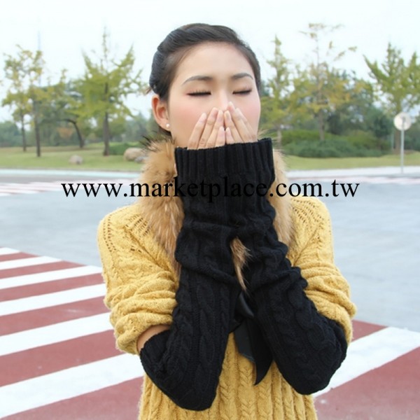 韓版冬季女麻花加長款半指毛線手套 可愛保暖手臂套工廠,批發,進口,代購