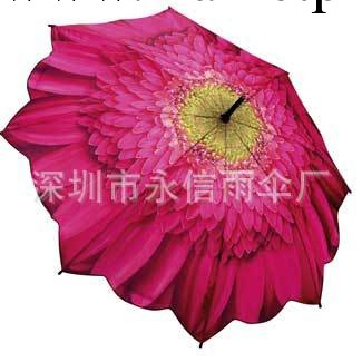 廠傢獨傢設計直銷批發創意花朵熱轉印高爾夫雨傘(圖)可打LOGO工廠,批發,進口,代購