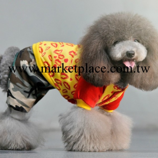 狗狗衣服 秋冬 貴賓中國娃娃寵物泰迪用品狗寵物服裝 狂野之舞工廠,批發,進口,代購