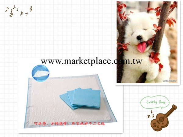 防滑寵物尿墊 一次性寵物墊 30*45cm，40*60cm，60*60cm等批發工廠,批發,進口,代購