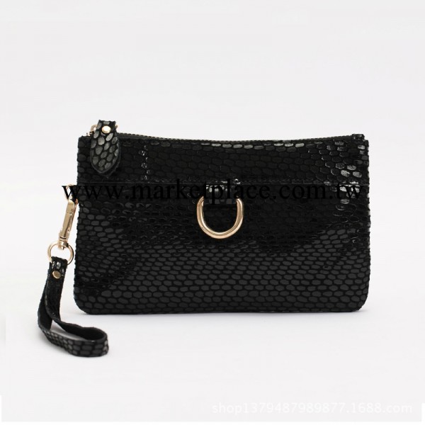 歐美新款2013潮女手拿包女手包手抓包女式手包包郵特價005工廠,批發,進口,代購