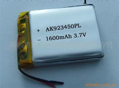 供應聚合物數位電池 AK923450P 1600MAH 醫療監護機鋰電池批發・進口・工廠・代買・代購
