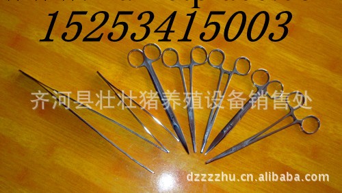 供應不銹鋼獸用手術器械 動物解剖器械 手術剪刀 手術刀 優質低價工廠,批發,進口,代購