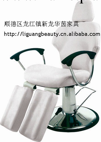 麗光廠專業生產 美容用品升降三節美容床、美體床，按摩床BE-8516工廠,批發,進口,代購