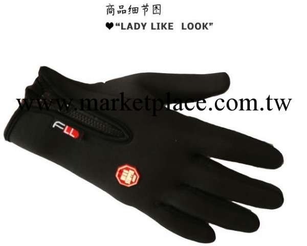 淘寶爆款WINDSTOPPER 戶外防風運動保暖手套 騎行觸摸登山手套工廠,批發,進口,代購