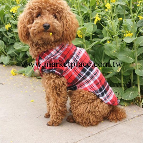 狗狗衣服春夏裝 寵物格子襯衫 寵物襯衣 泰迪寵物犬衣服工廠,批發,進口,代購
