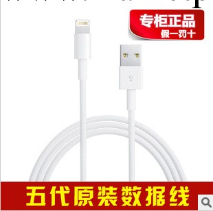 原裝正品 蘋果數據線 iphone5手機配件 ipad mini平板充電線批發工廠,批發,進口,代購