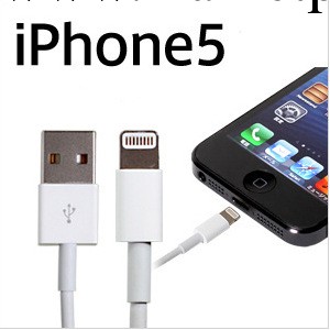 蘋果5代2M數據線 2米USB充電線 iphone5手機傳輸線(帶鋁箔)工廠,批發,進口,代購