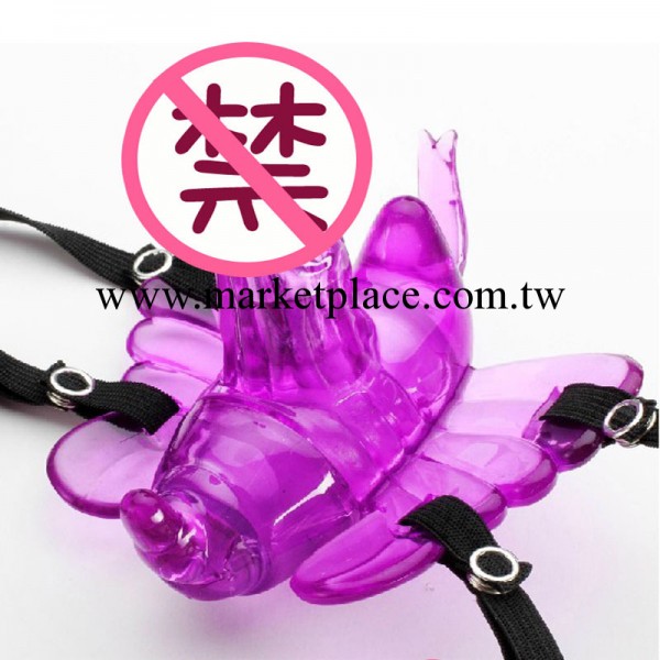 成人情趣用品女用穿戴 遙控蝴蝶 性保健品女性自慰器加盟代理工廠,批發,進口,代購