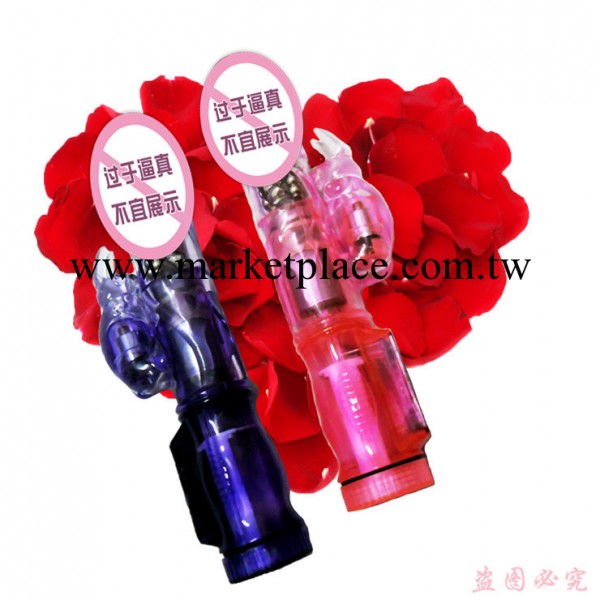 成人用品代理代銷批發加盟一件代發情趣用品女用轉珠棒nv024工廠,批發,進口,代購