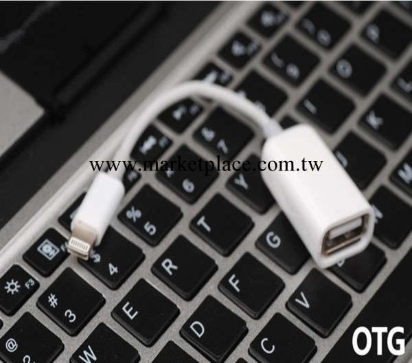 蘋果ipad4/mini OTG數據線 iphone5 OTG線轉接線iphone5轉接線工廠,批發,進口,代購