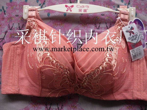 新品㊣正品采祺內衣 3/4厚杯仿副乳加高加寬B杯網狀花紋胸罩8510工廠,批發,進口,代購