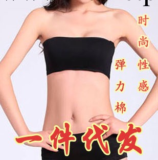 一件代發 韓版防走光 夏裝純棉 抹胸 內衣 打底裹胸背心 女A004工廠,批發,進口,代購