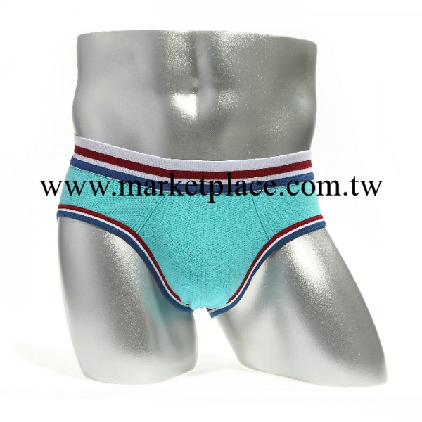 正品FLIRTELLE精品男士內褲 3D立體裁剪高檔精梳棉男三角褲工廠,批發,進口,代購