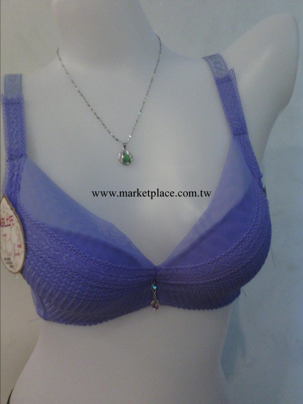 大量批發2013秋冬季新款少女品牌胸罩工廠,批發,進口,代購