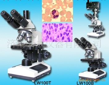 供應LW100T三目正置生物顯微鏡 生物顯微鏡 消色差物鏡工廠,批發,進口,代購