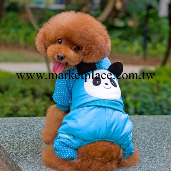 2014新款貴賓 寵物衣服 批發 服裝服飾 秋冬裝  賣萌熊 四腿衣工廠,批發,進口,代購