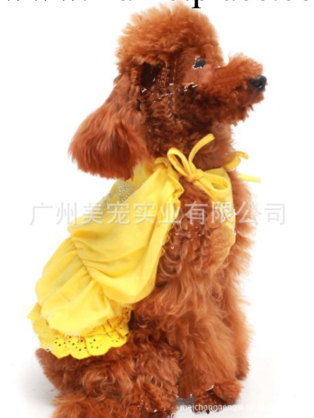 批發寵物用品/日本2012泡泡裙紅色1件起批工廠,批發,進口,代購