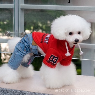 廠傢直銷日本ABBY 2012艾比秋冬新品 寵物用品 狗狗服飾特價清倉工廠,批發,進口,代購