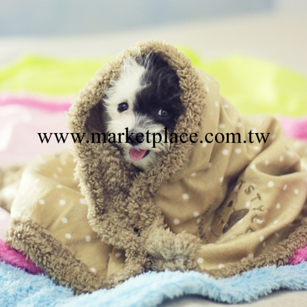 petstyle 寵物窩 寵物日常用品 寵物用品批發 廠傢批發工廠,批發,進口,代購